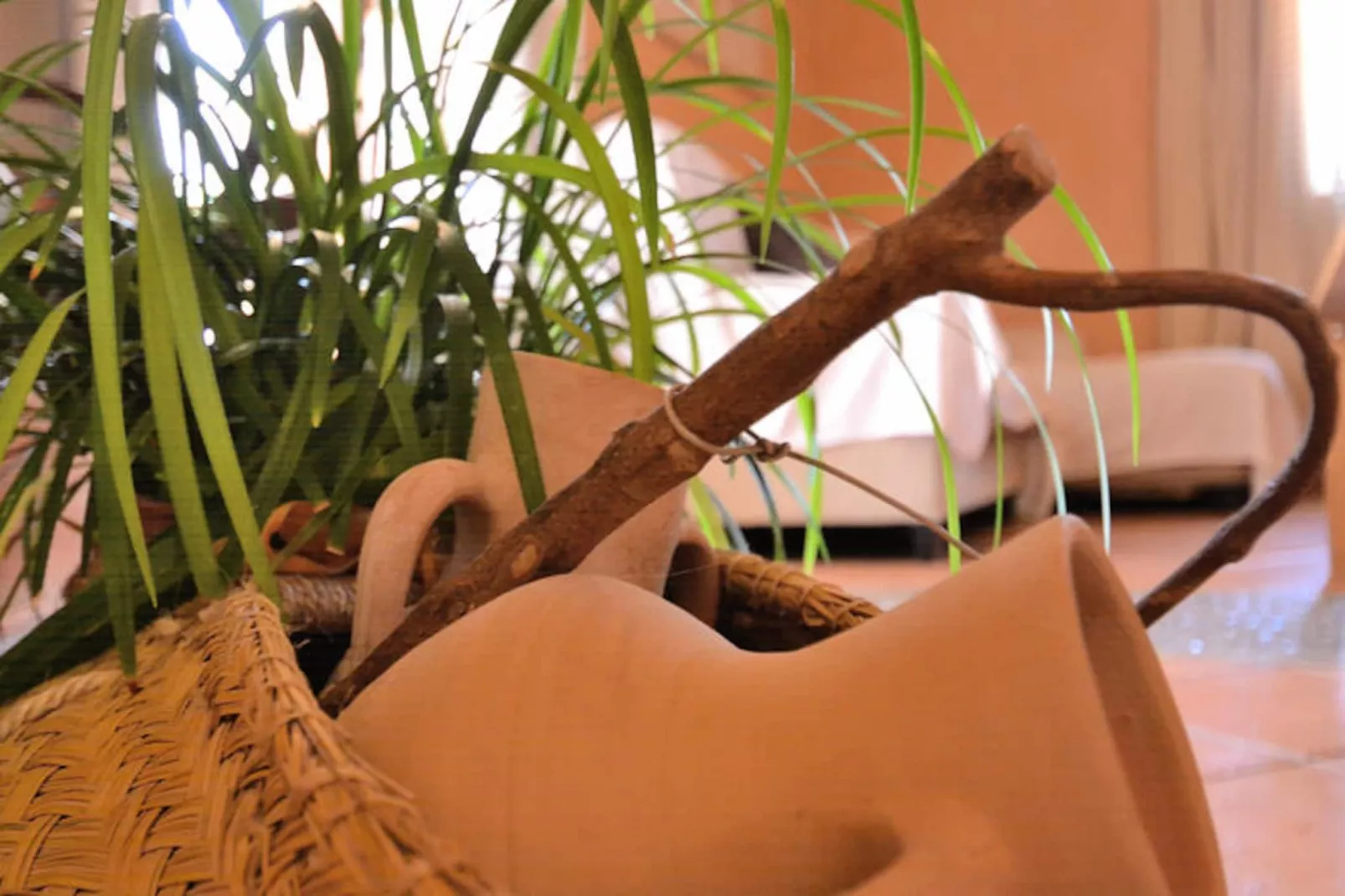 Maison à Santa Margalida-Image-tags.