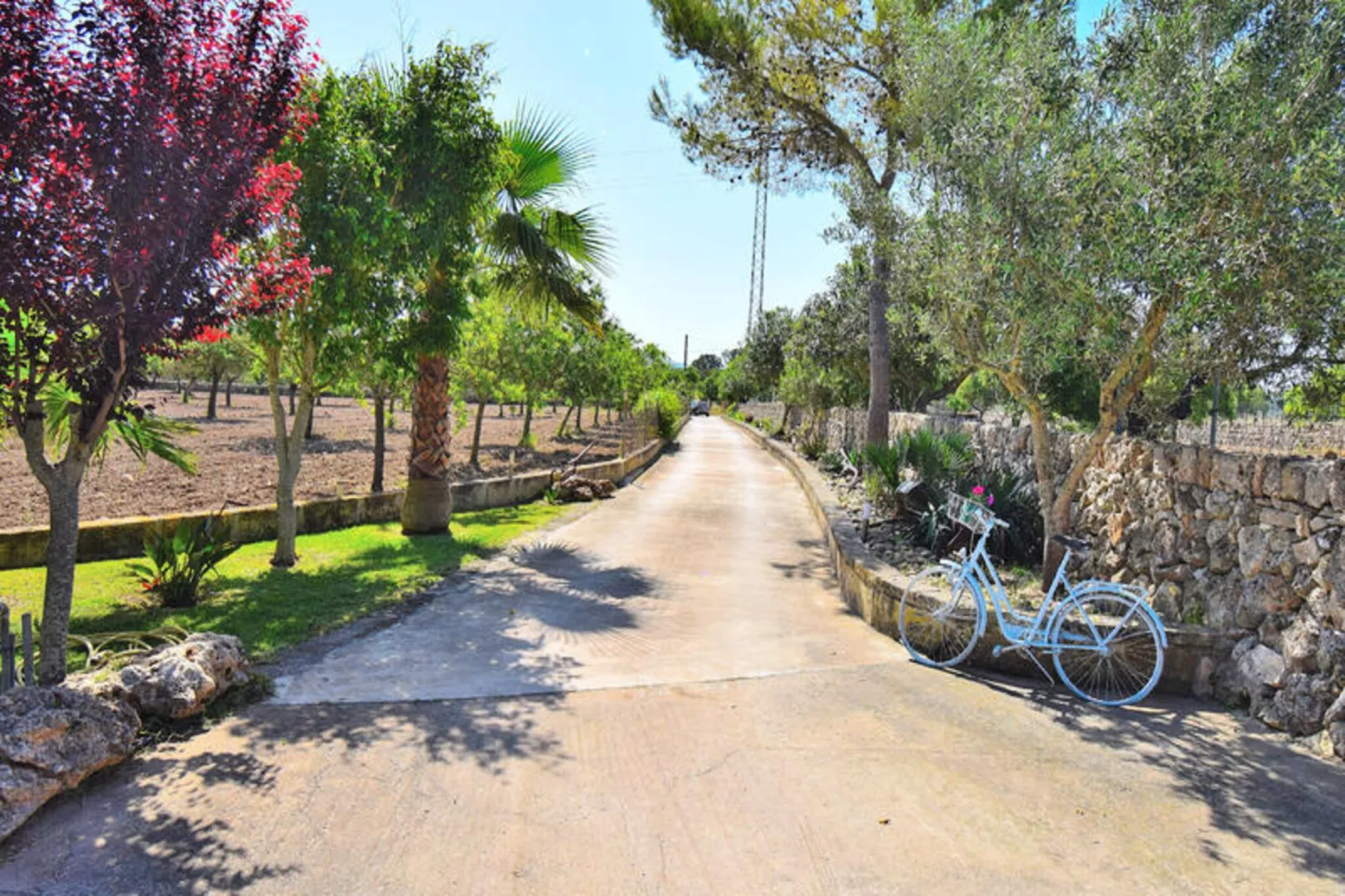 Maison à Santa Margalida-Image-tags.