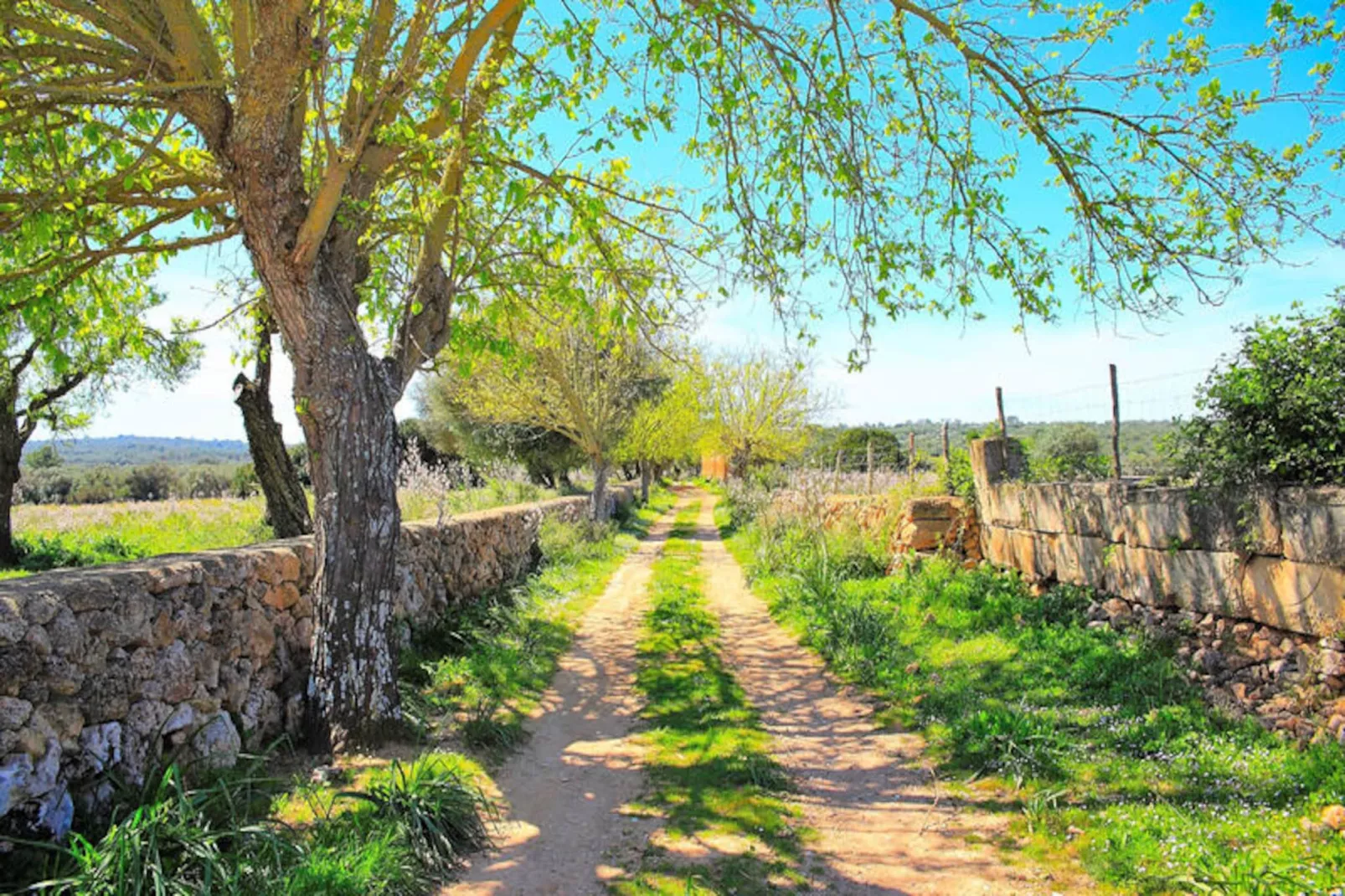 Maison à Son Serra de Marina-Image-tags.