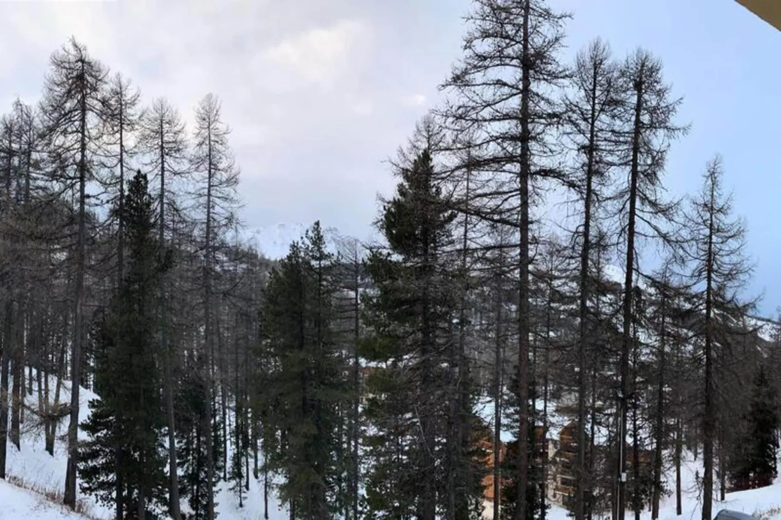 Résidence Pastourlet - Gebied winter 5km