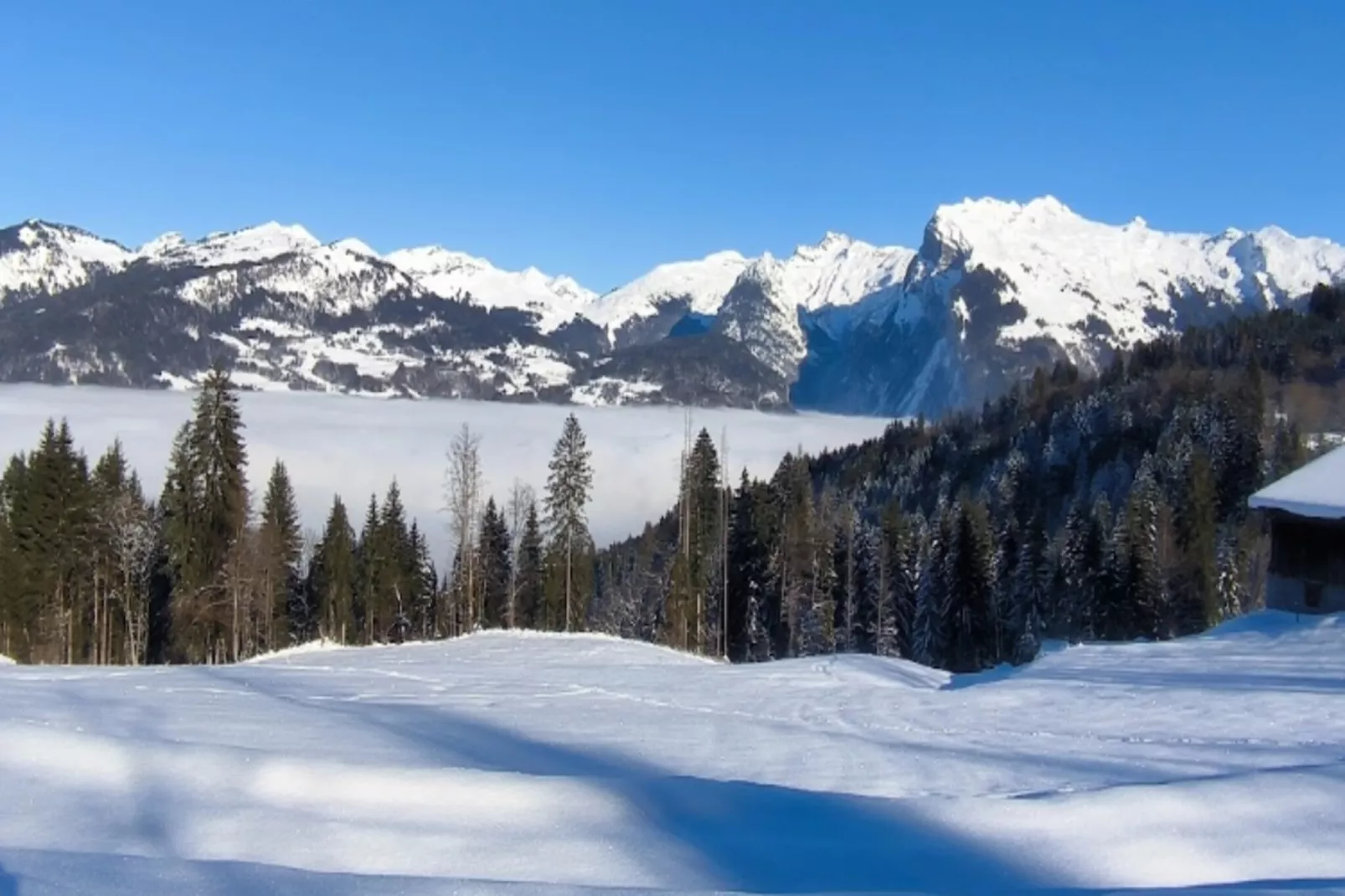 Résidence Malinvern C15-Gebied winter 1km