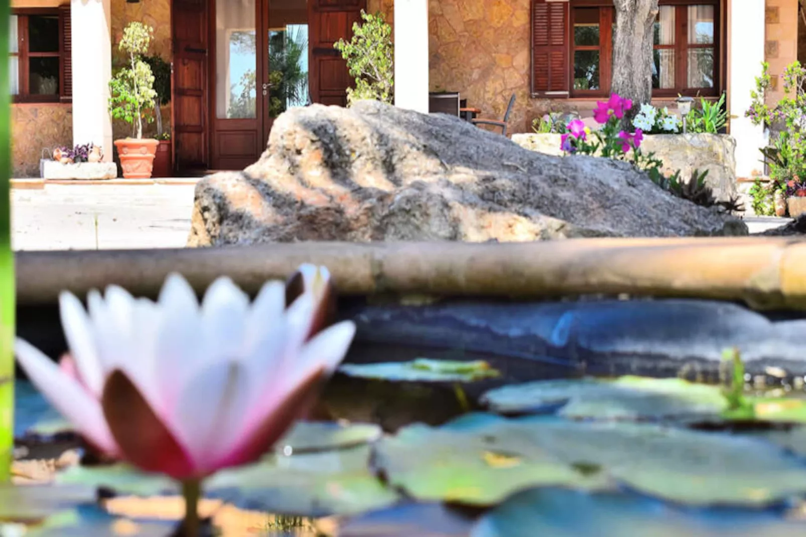 Maison à Santa Margalida-Image-tags.