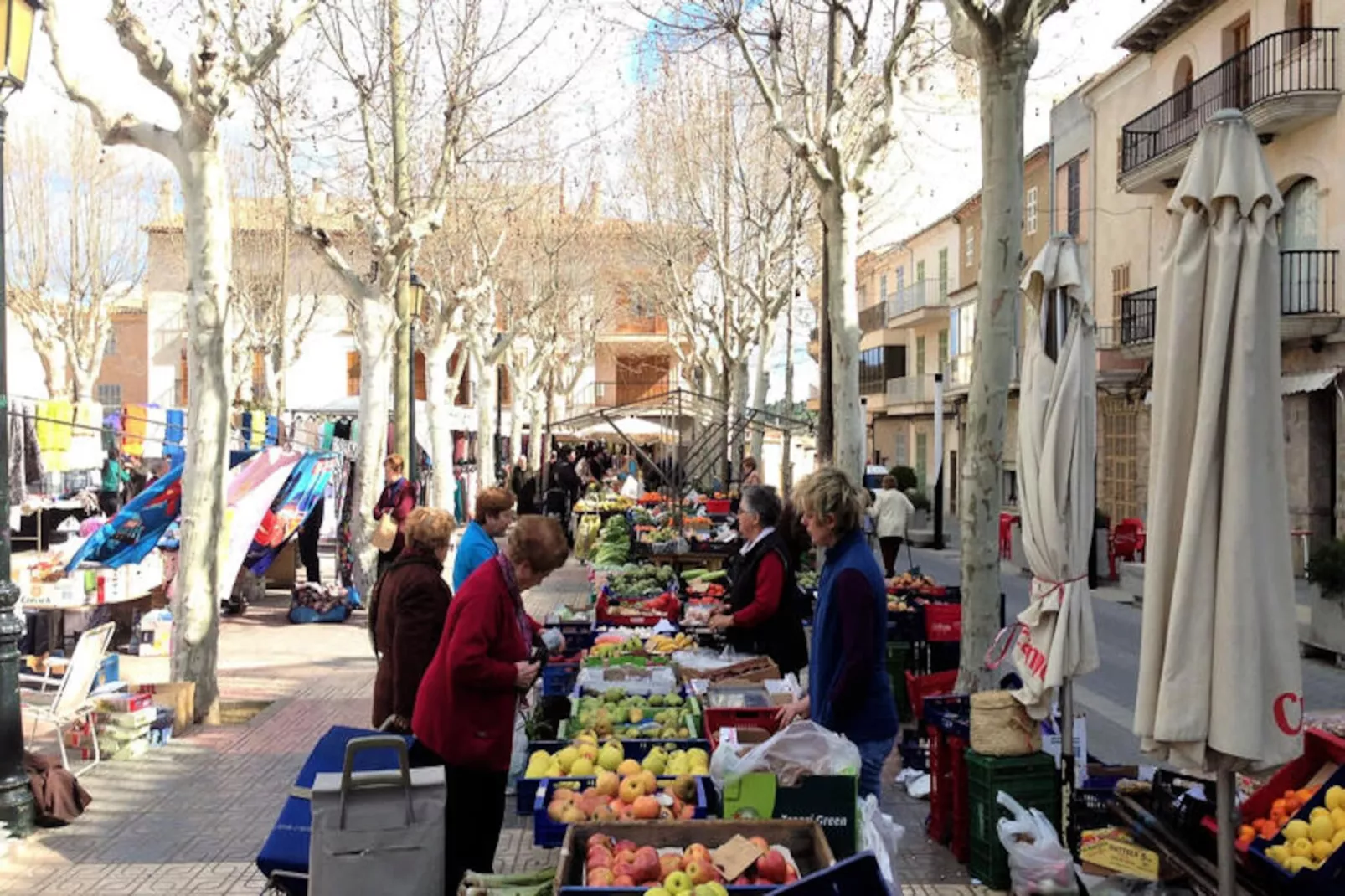 Maison à Santa Margalida-Image-tags.