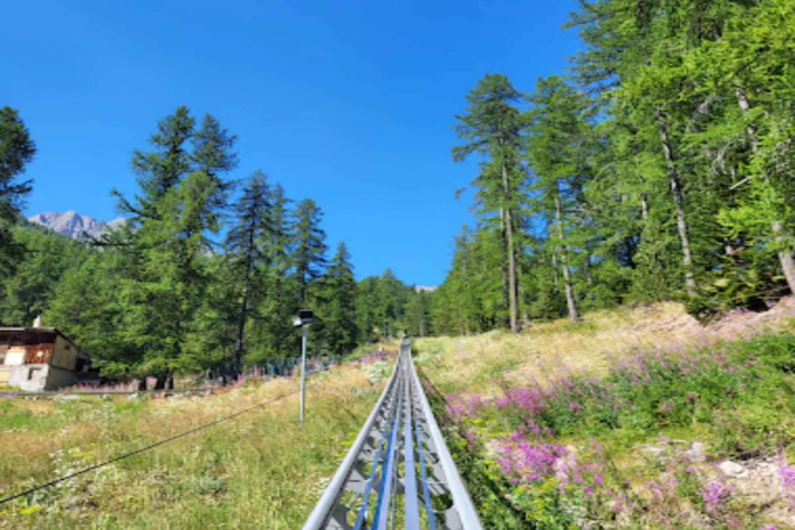 Chalet Des Rennes - Gebieden zomer 5km