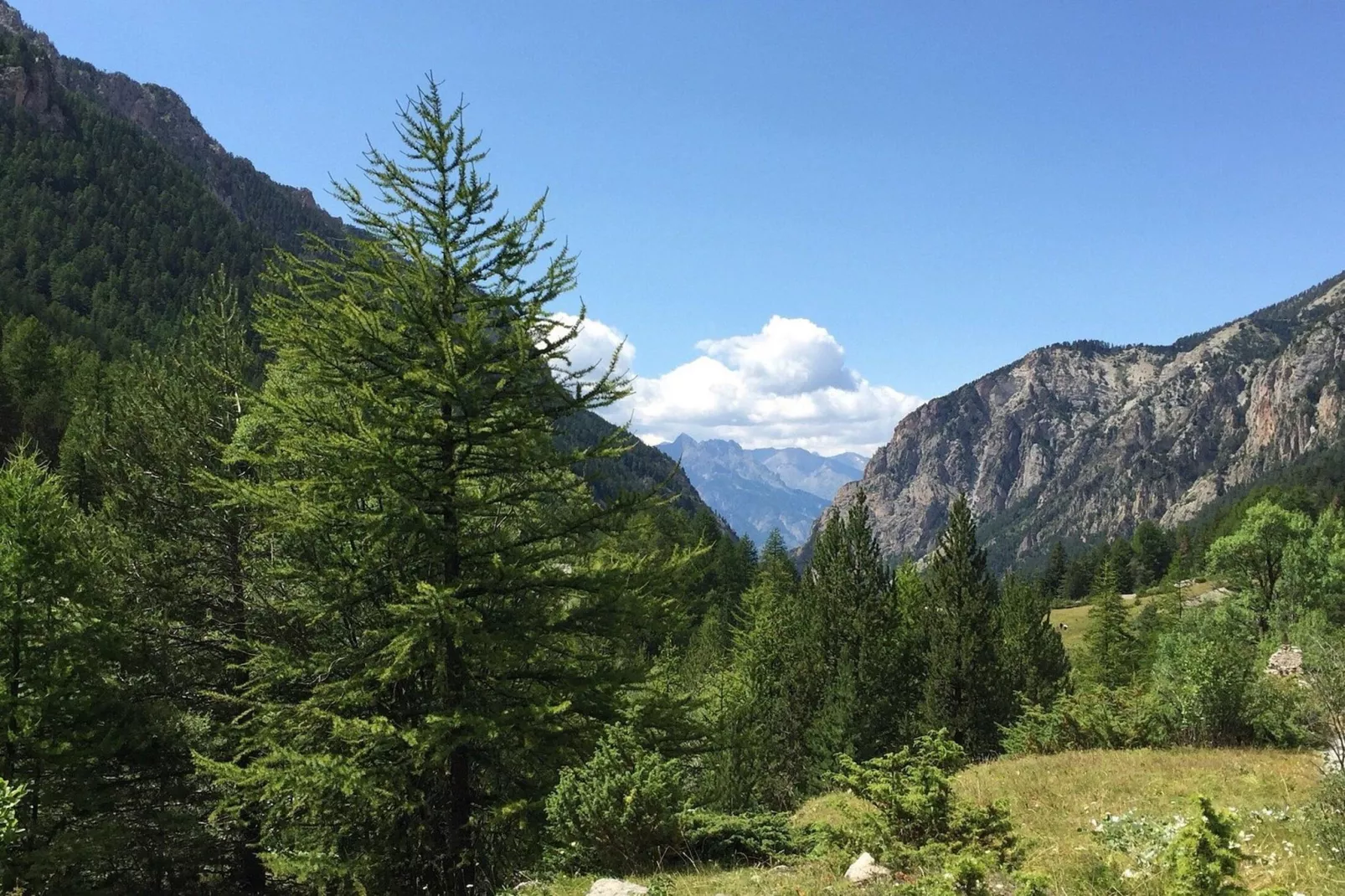 Résidence Cuzco-Buitenkant zomer