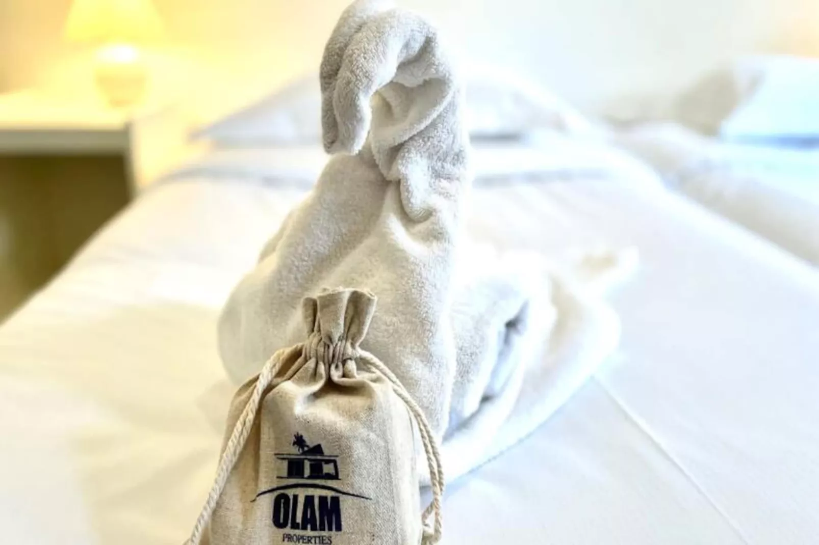 Cannes Pr&egrave;s Centre - 3 Pcs Mezzanine Balcons Charme Absolu Olam Properties-Image-tags.