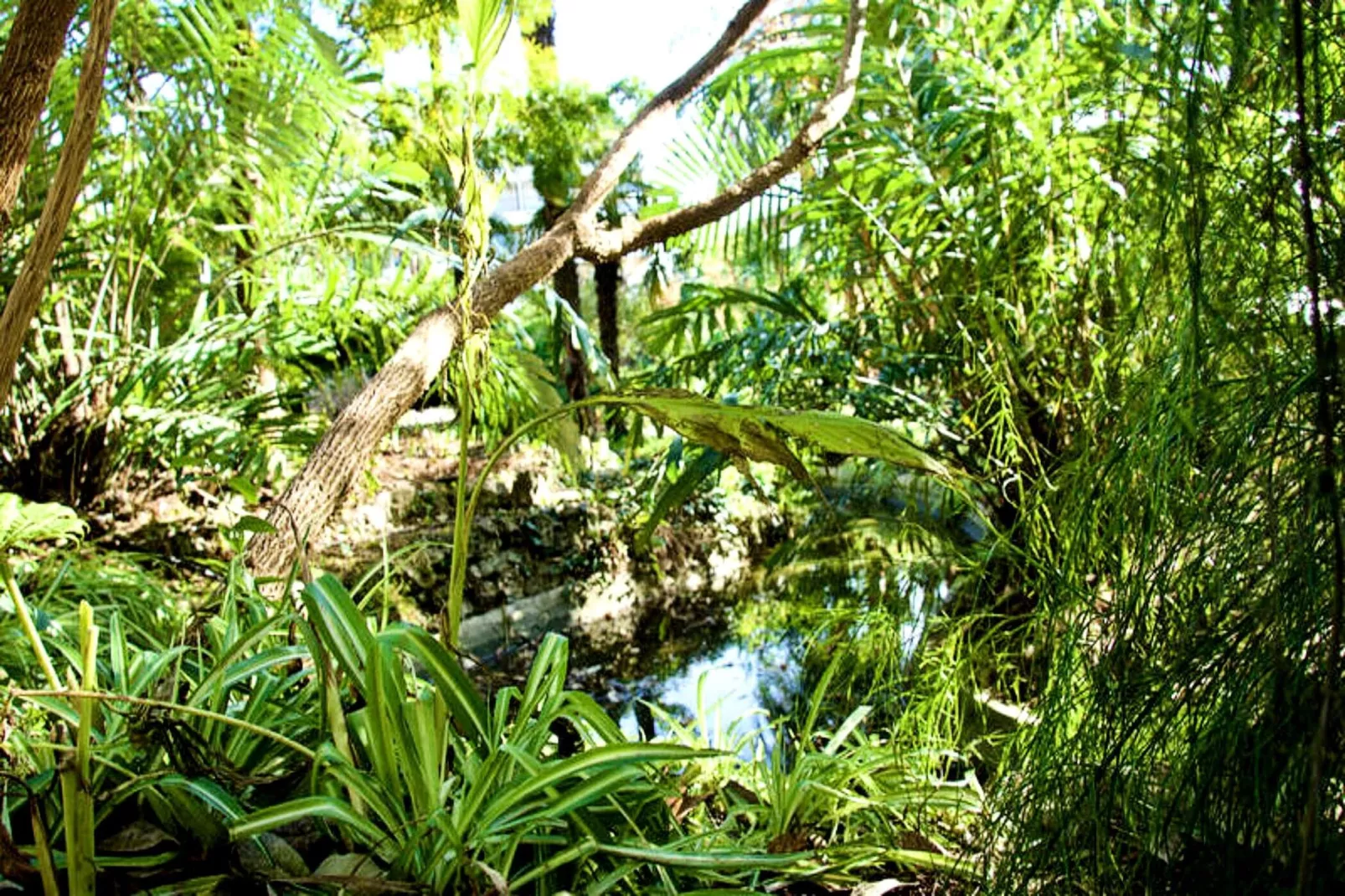 Résidence We &hearts; Cannes !  R&eacute;sidence Gallia , Appartement 2 Chambres Haut De Gamme-Sfeer