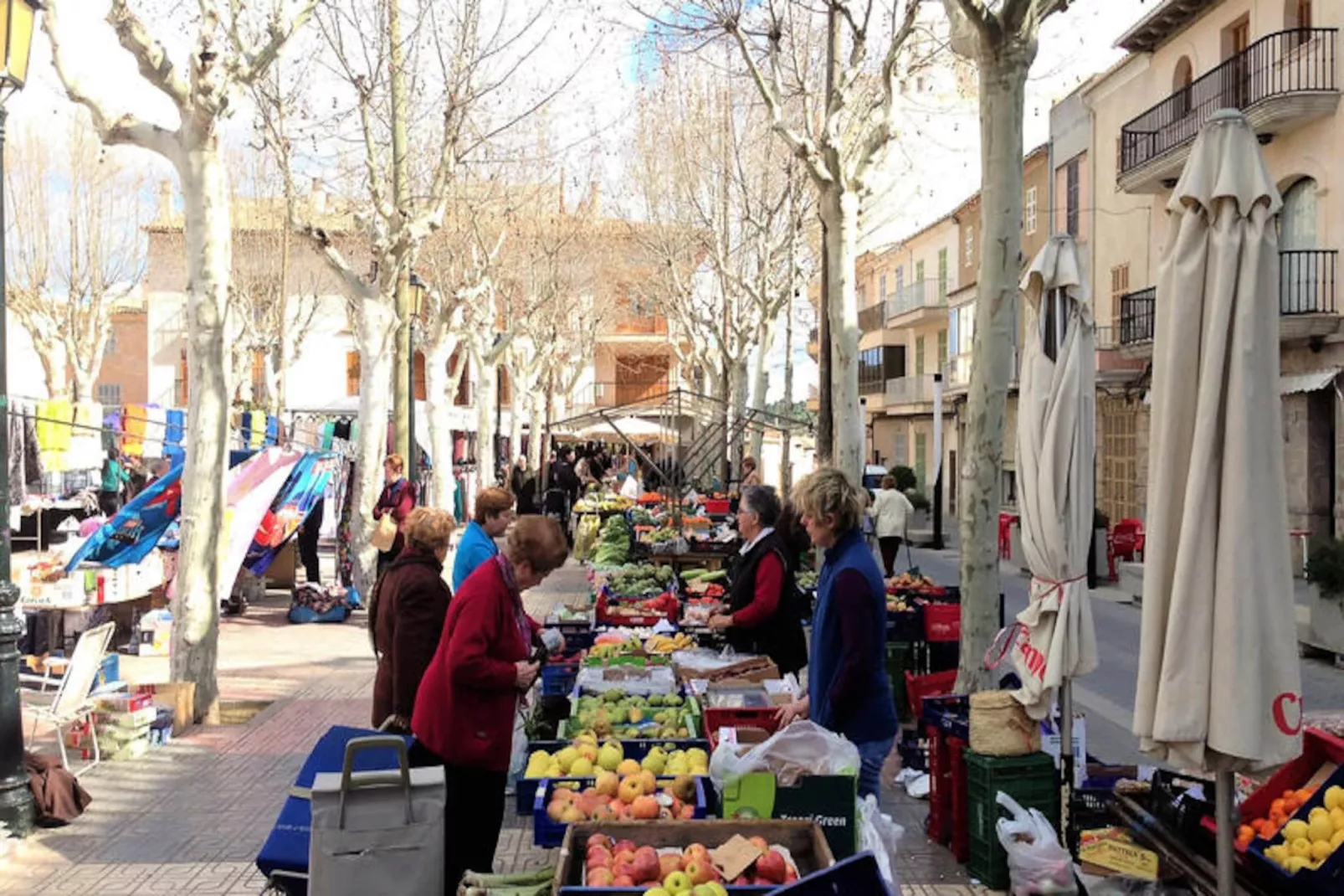 Maison à Santa Margalida-Image-tags.