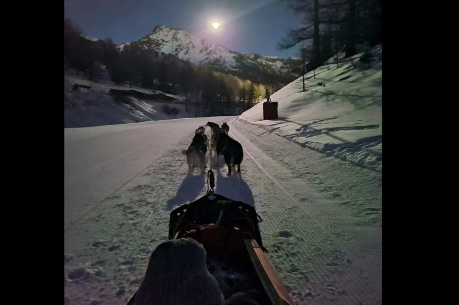 Résidence Génépi 301-Gebied winter 5km