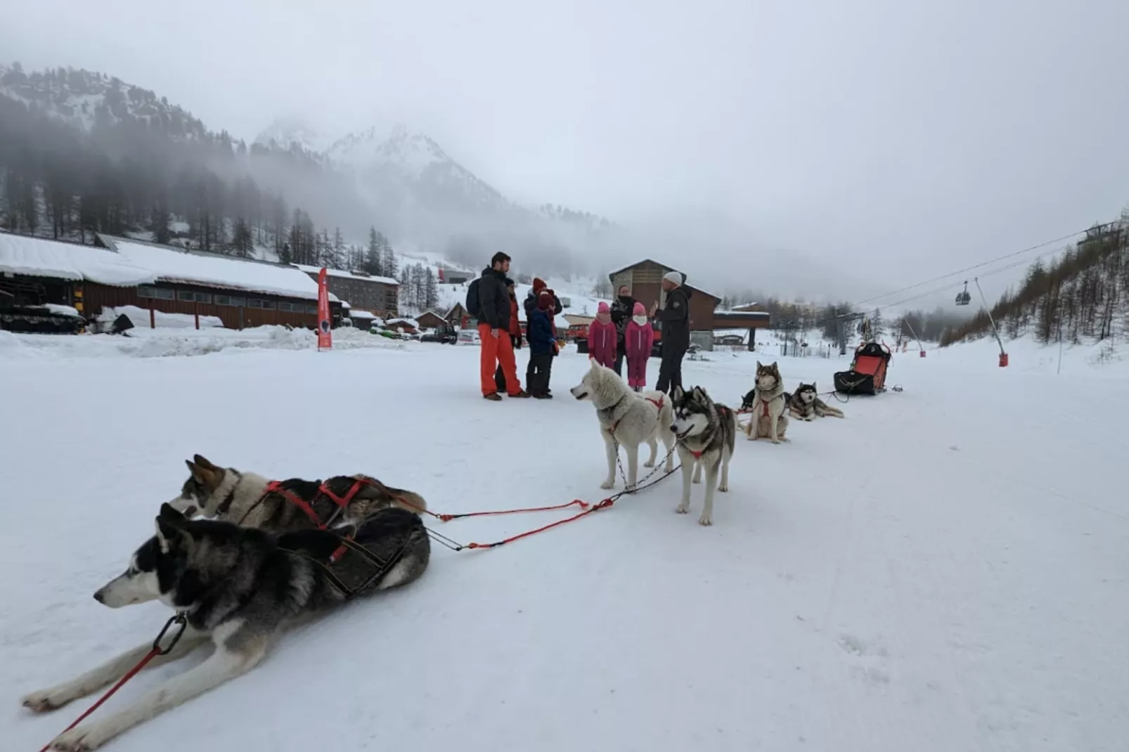 Résidence Génépi 301-Gebied winter 5km