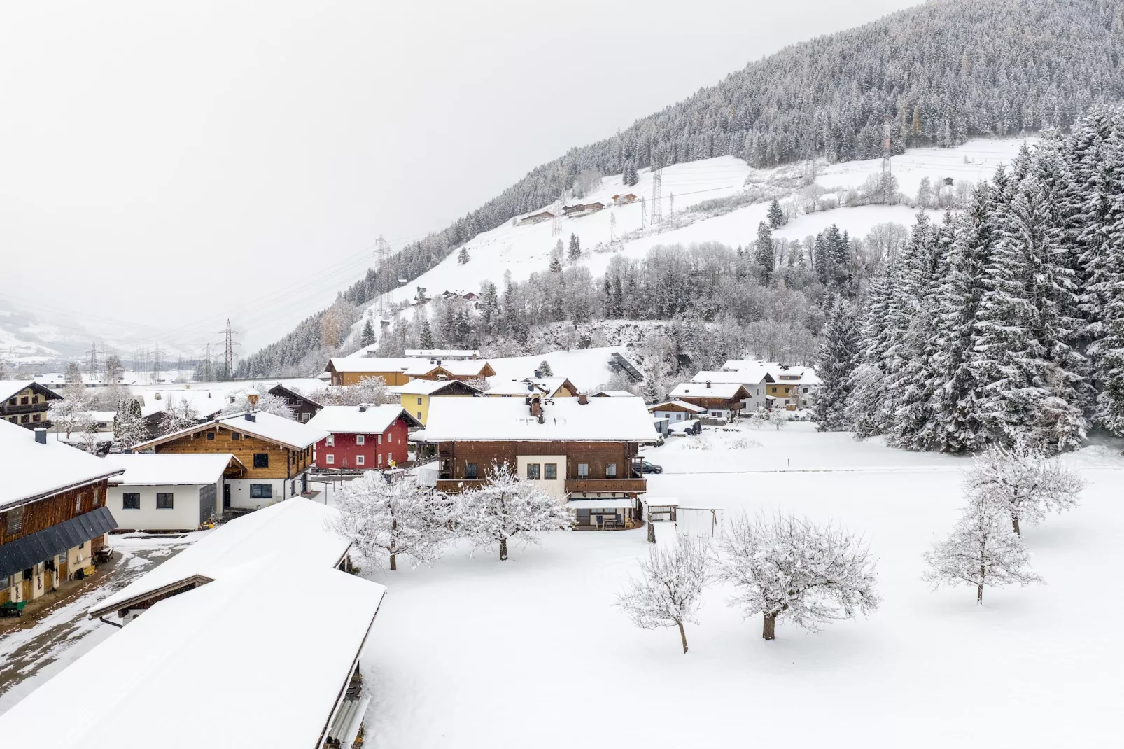 Apartment "Sonnberg & Schattberg"-Gebied winter 1km