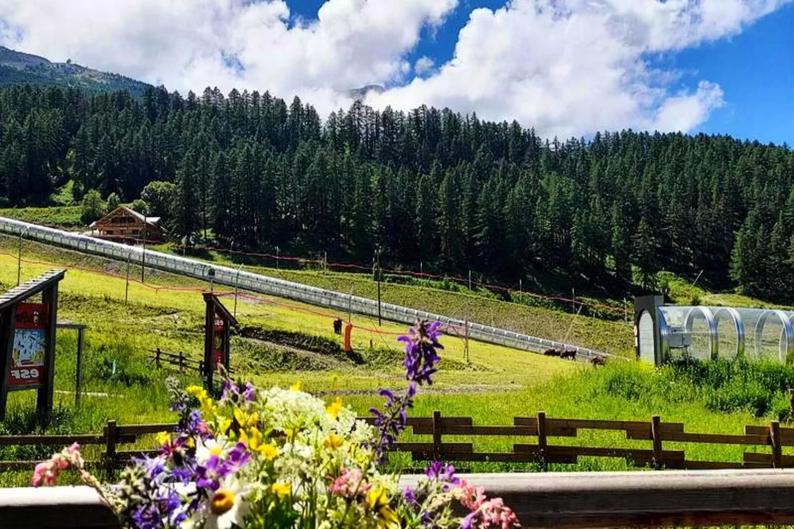 Résidence Le Parc Des Airelles - Gebieden zomer 1km