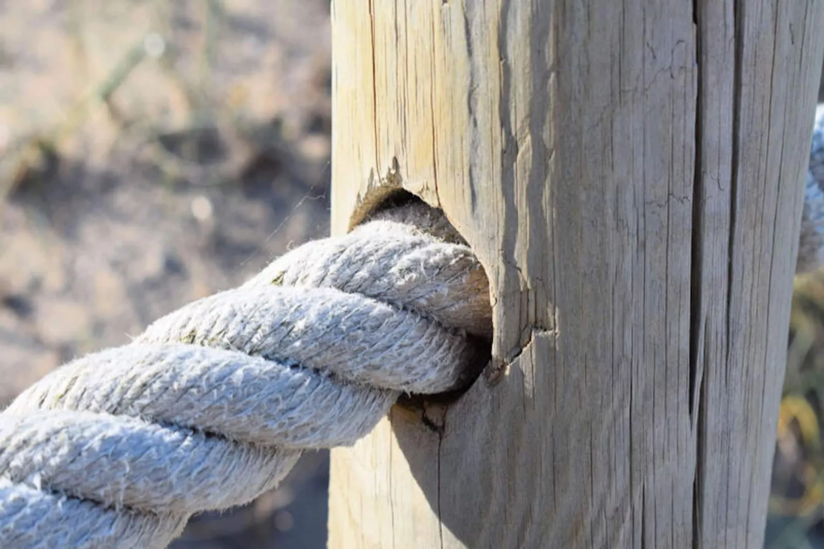 Maison à Santa Margalida-Image-tags.