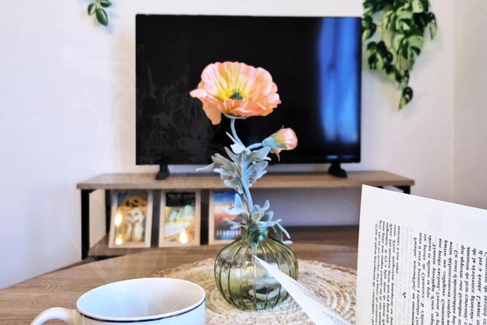 Studio à Toulouse-Sfeer