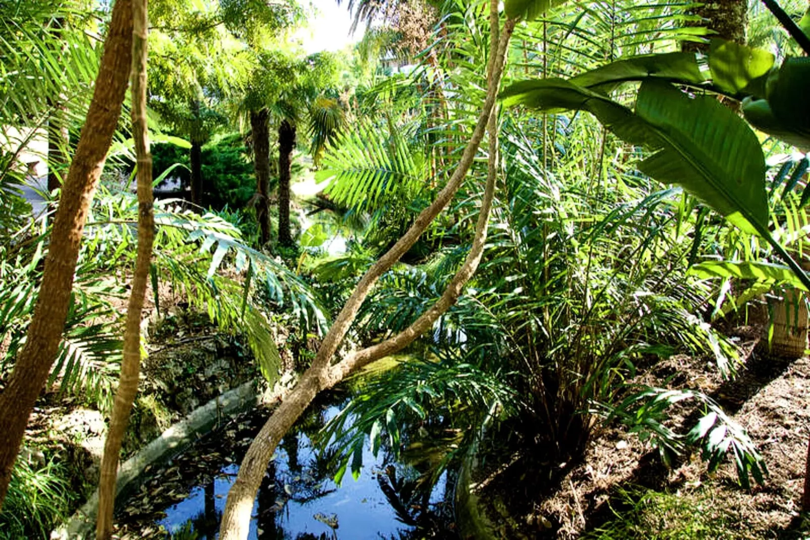 Résidence We &hearts; Cannes !  R&eacute;sidence Gallia , Appartement 2 Chambres Haut De Gamme-Sfeer