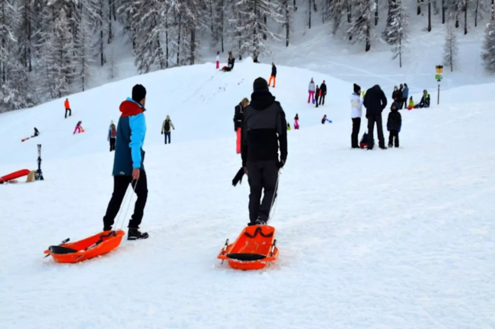 Résidence L'albane - Buitenkant zomer
