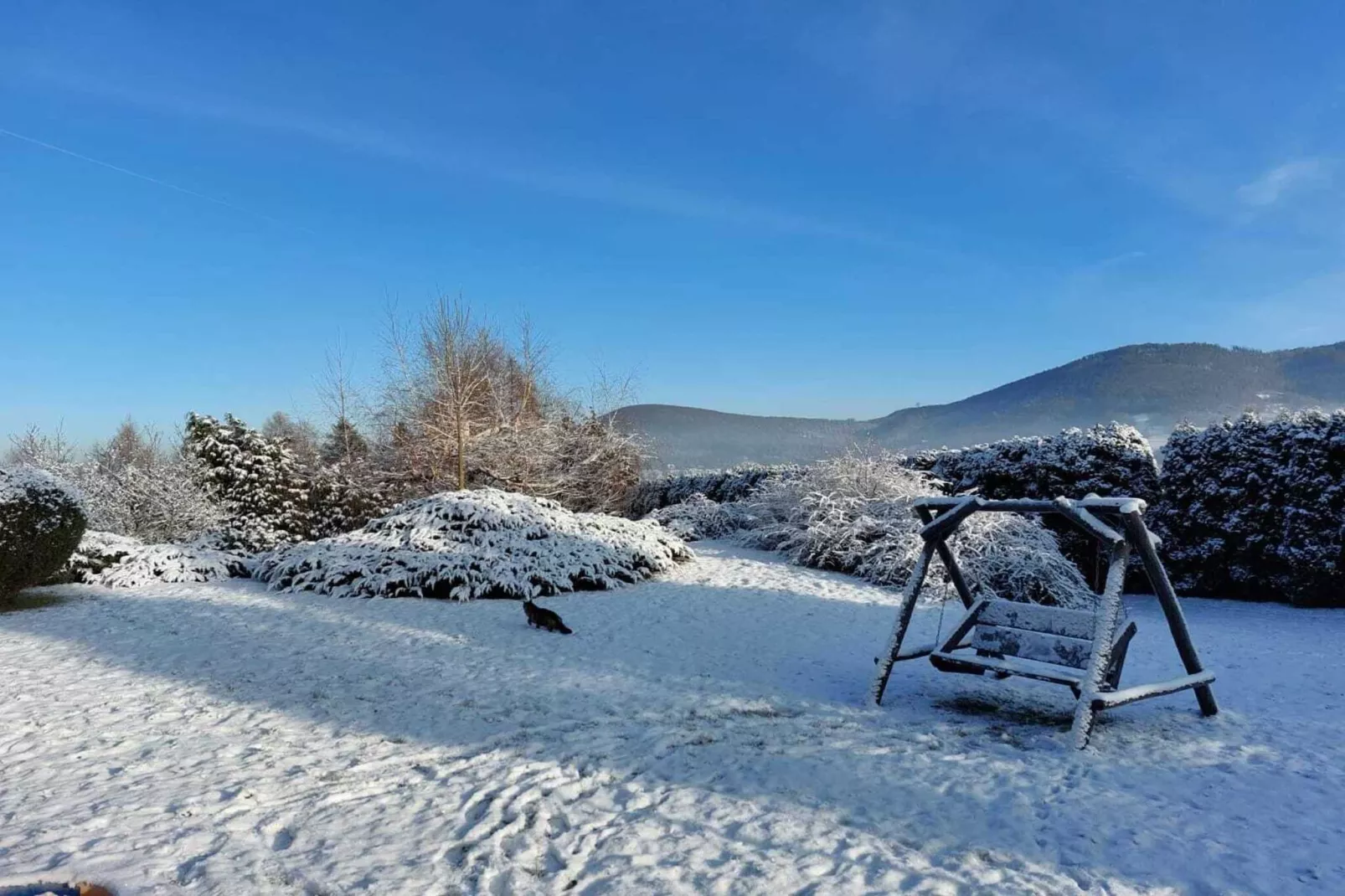 Willa wakacyjna dla 16 osób Brenna-Gebied winter 5km