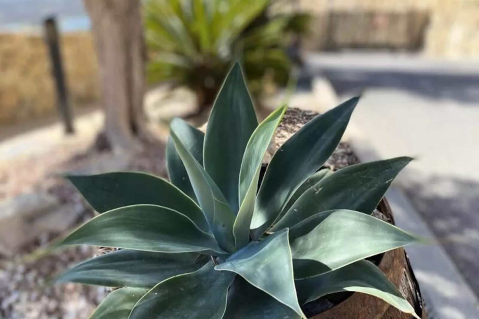 Appartement Vistamar : Piscine Et Magnifique Terrasse Panoramique-Image-tags.