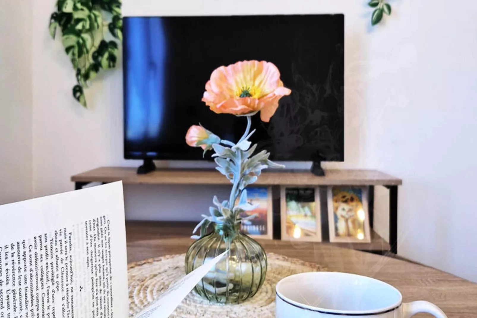 Studio à Toulouse-Sfeer