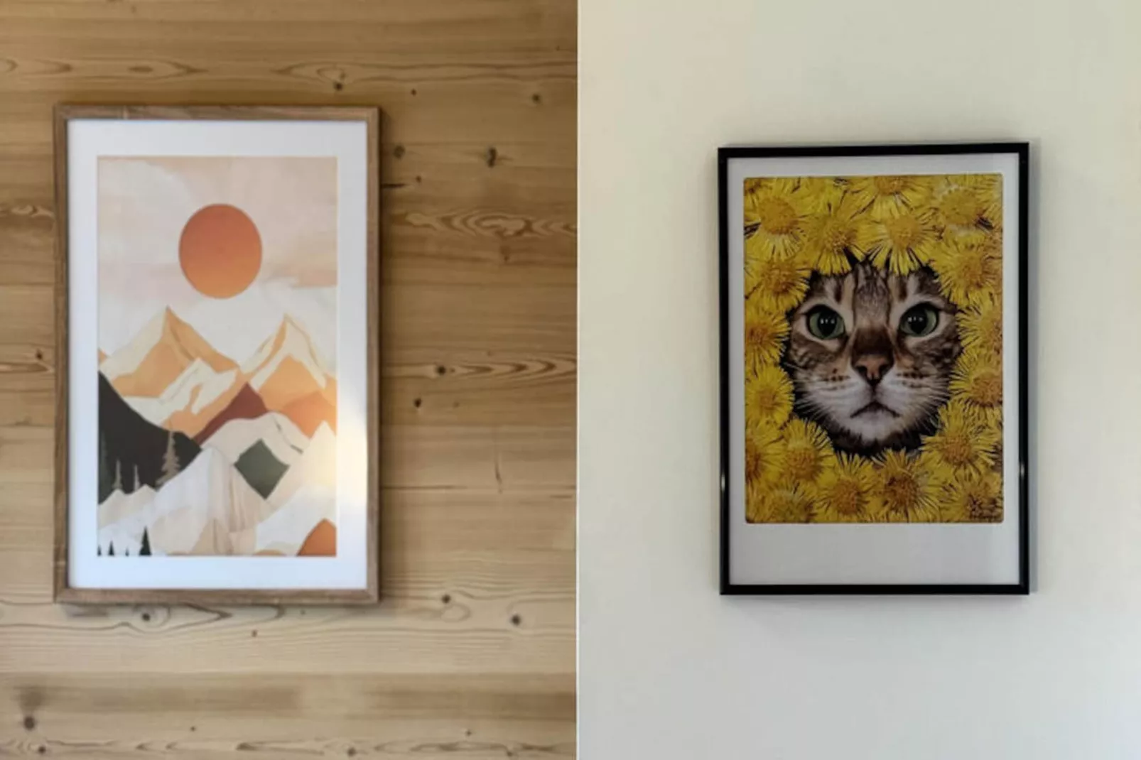 Chalets à Montriond-Image-tags.