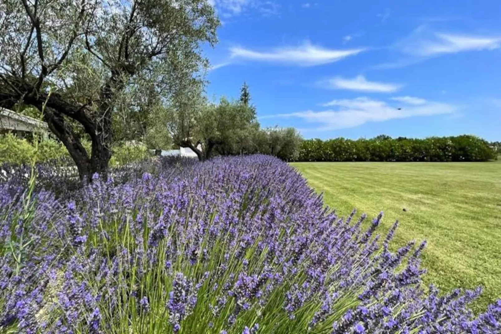 Mas De Pani&egrave;re - Saint Remy De Provence-Image-tags.