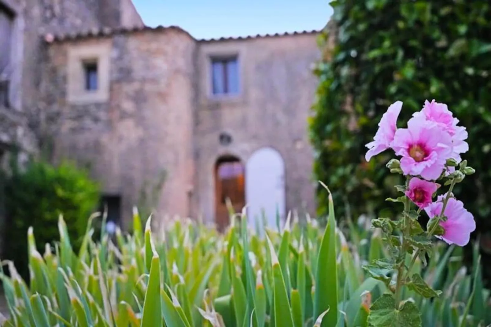 Mas La Miellerie | Charme Authentique Et Nature-Image-tags.