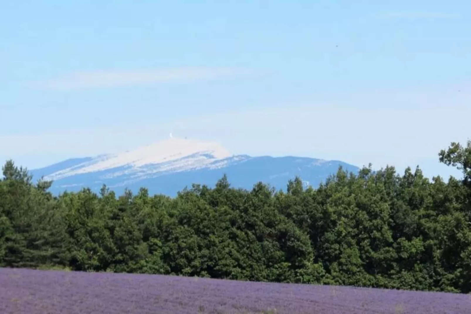 Mas La Miellerie | Charme Authentique Et Nature-Image-tags.