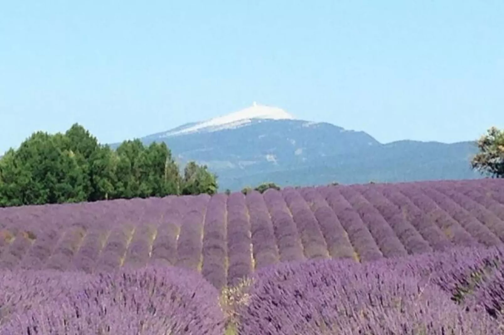 Mas La Miellerie | Charme Authentique Et Nature-Image-tags.