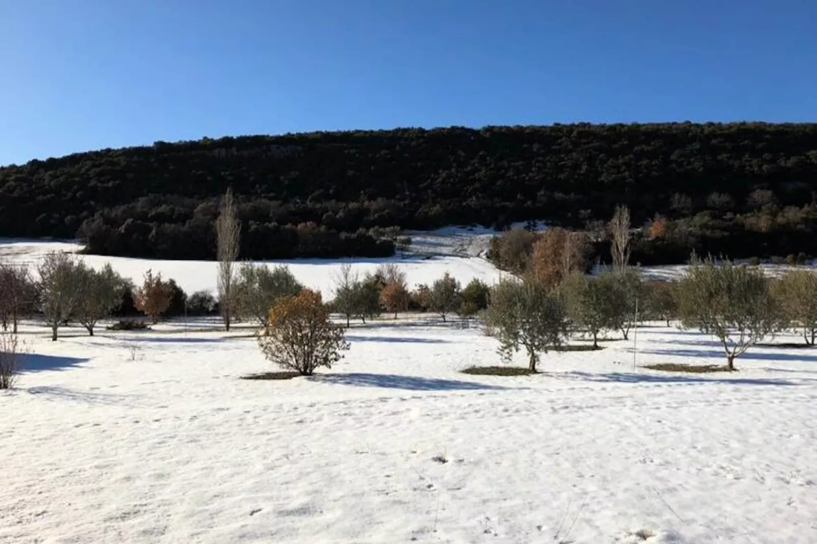 Mas La Miellerie | Charme Authentique Et Nature-Image-tags.