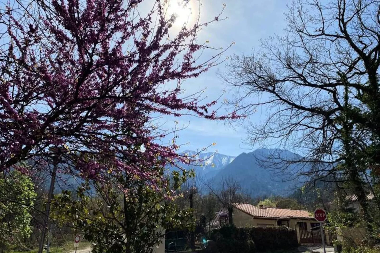 Résidence Balcon Du Canigou