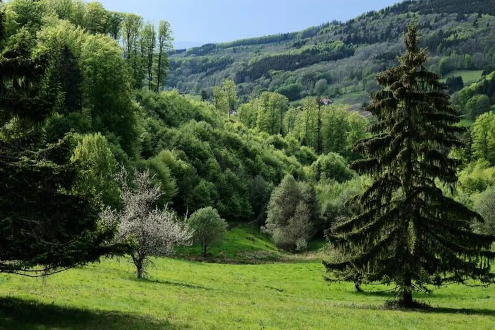 VVF Les Fontaines des Vosges ***