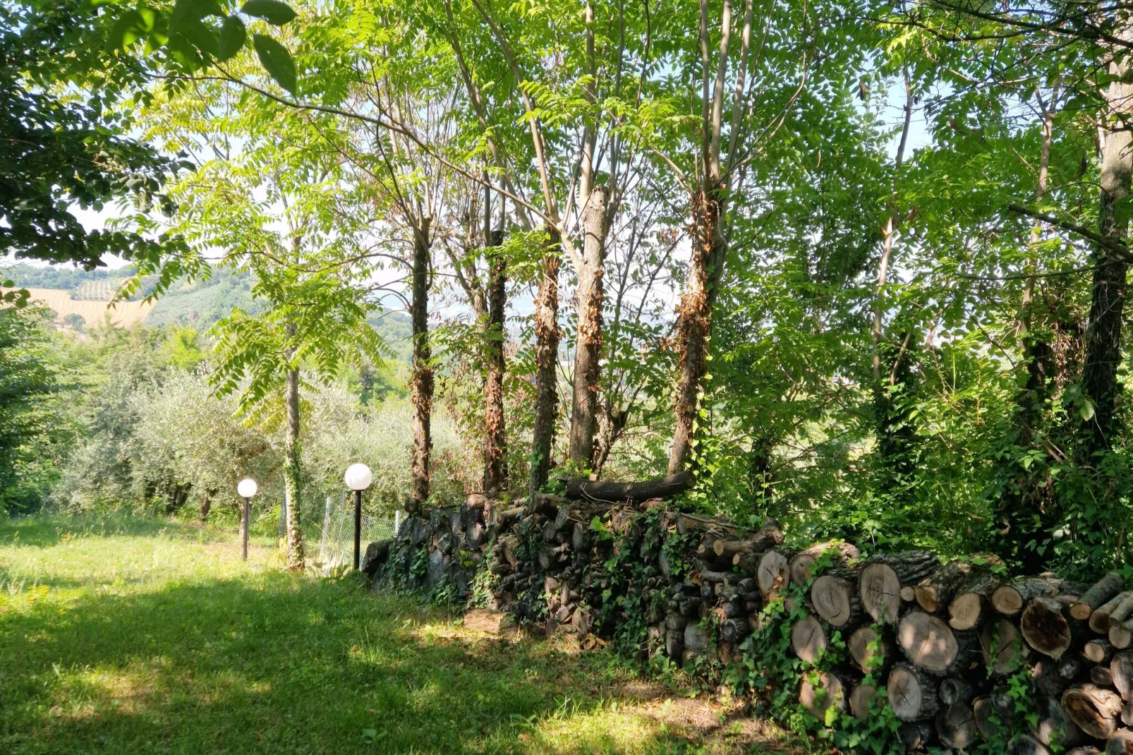 Holiday home dei Pavoni Montemaggiore con Piscina privata-Tuinen zomer