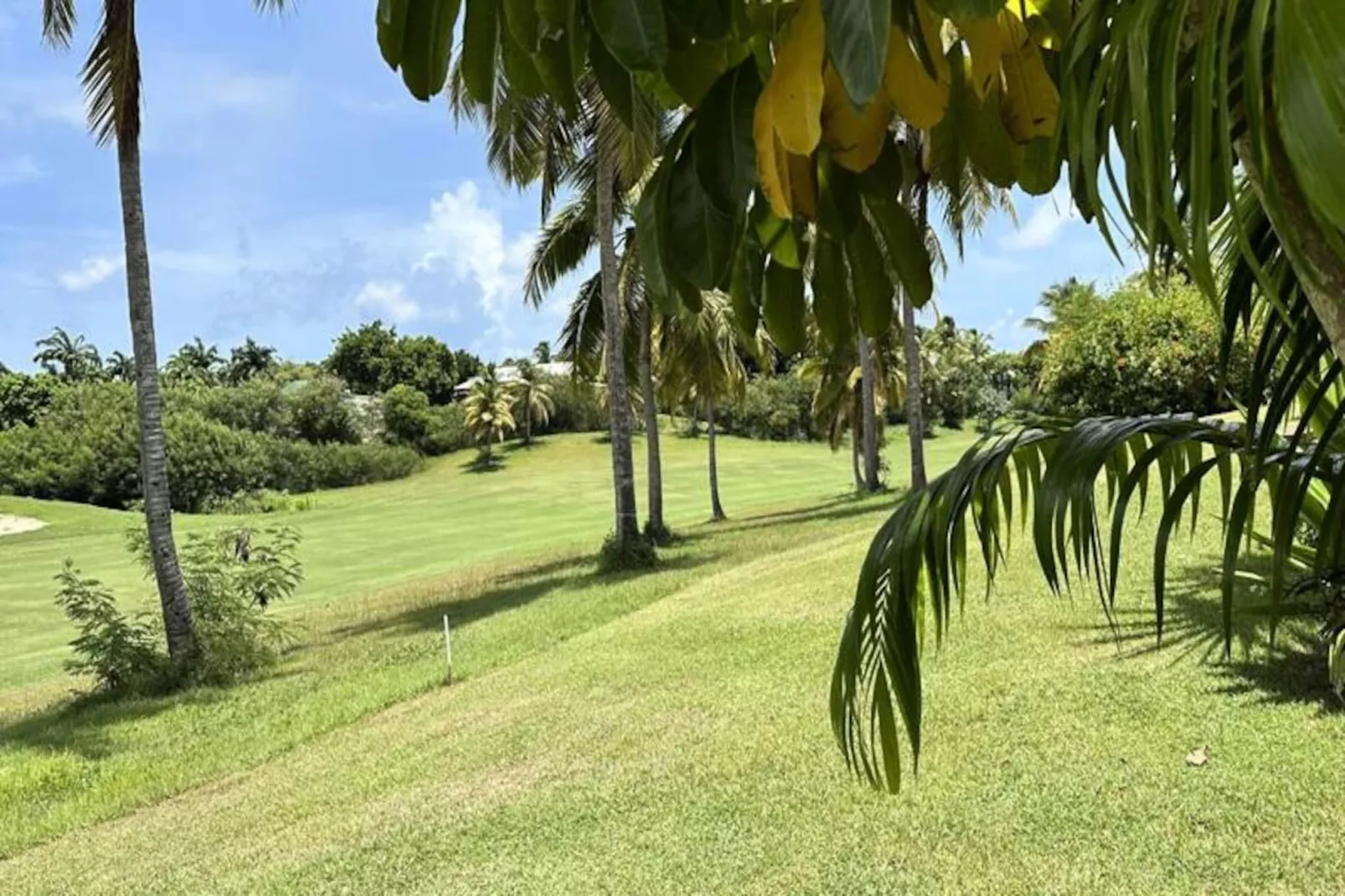 Appartement Le Lotus