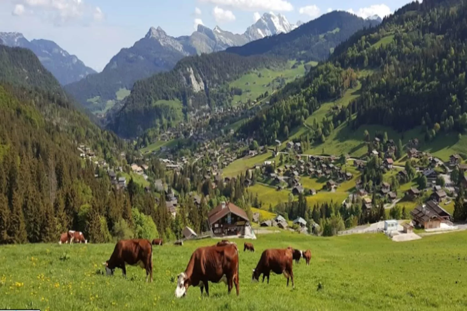 Résidence Aravis 1500