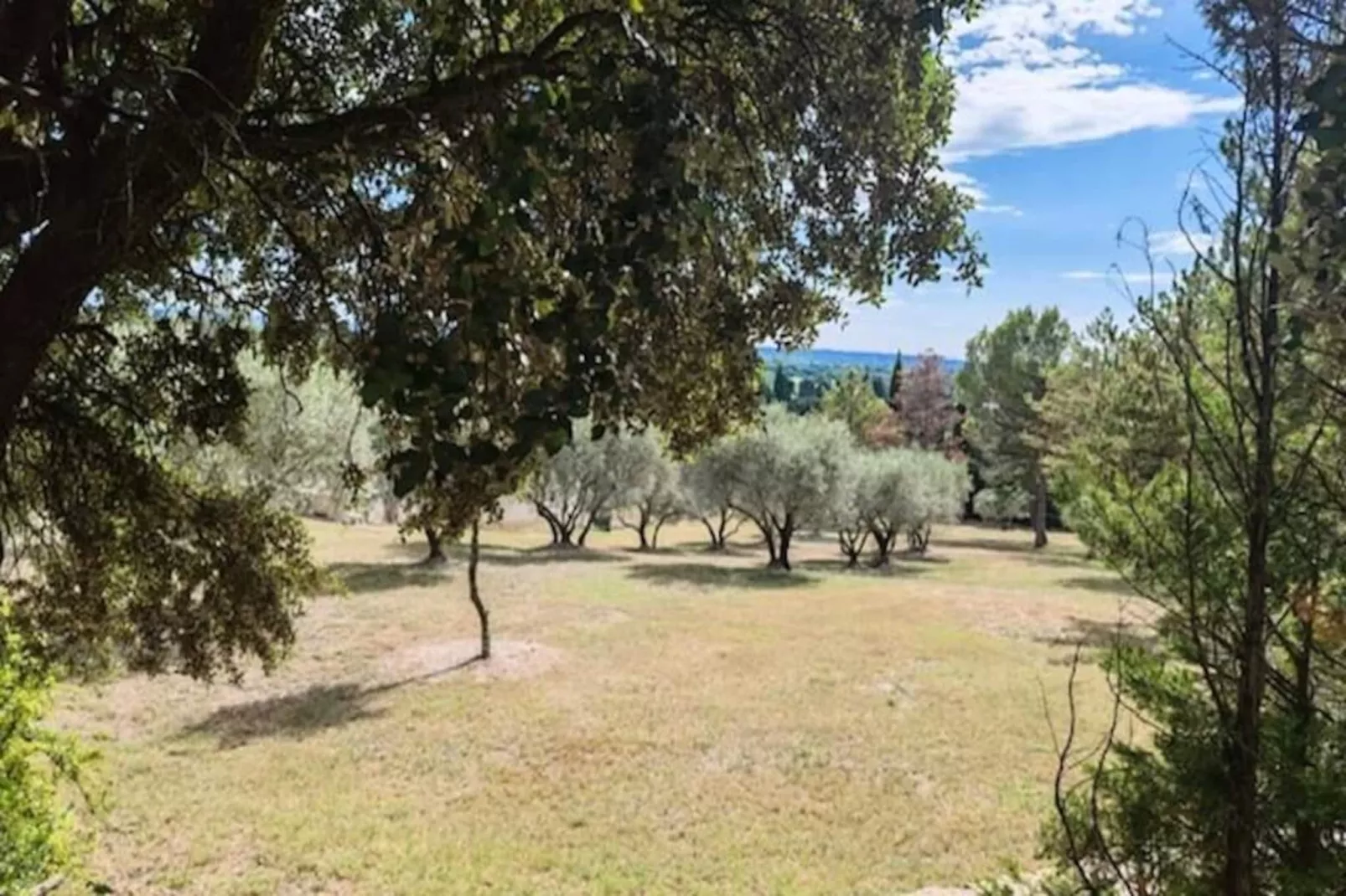 La Roseraie- Pernes-les-fontaines