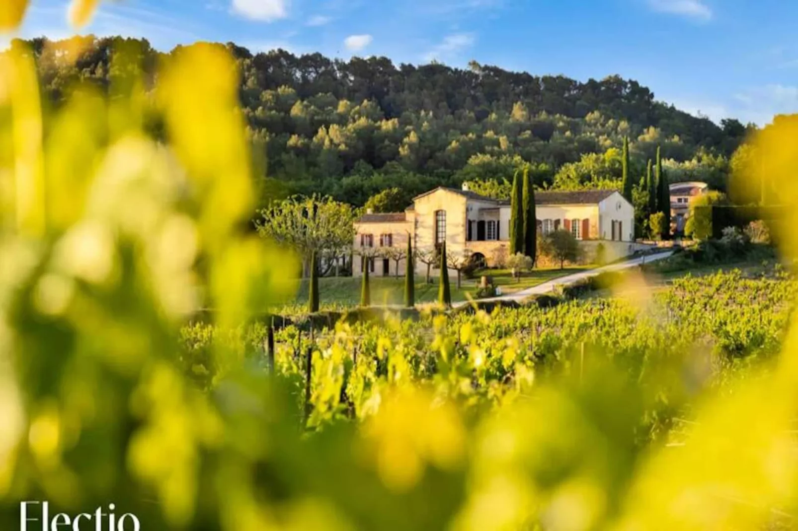 Petite Bastide | Domaine Tour Campanets