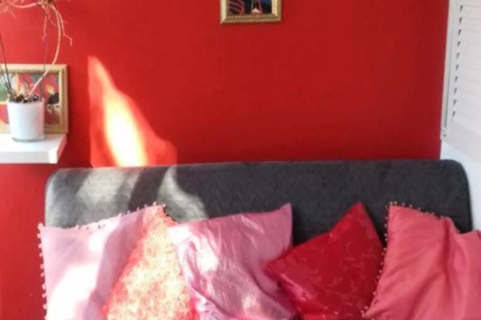 Résidence Jardins D Azur C