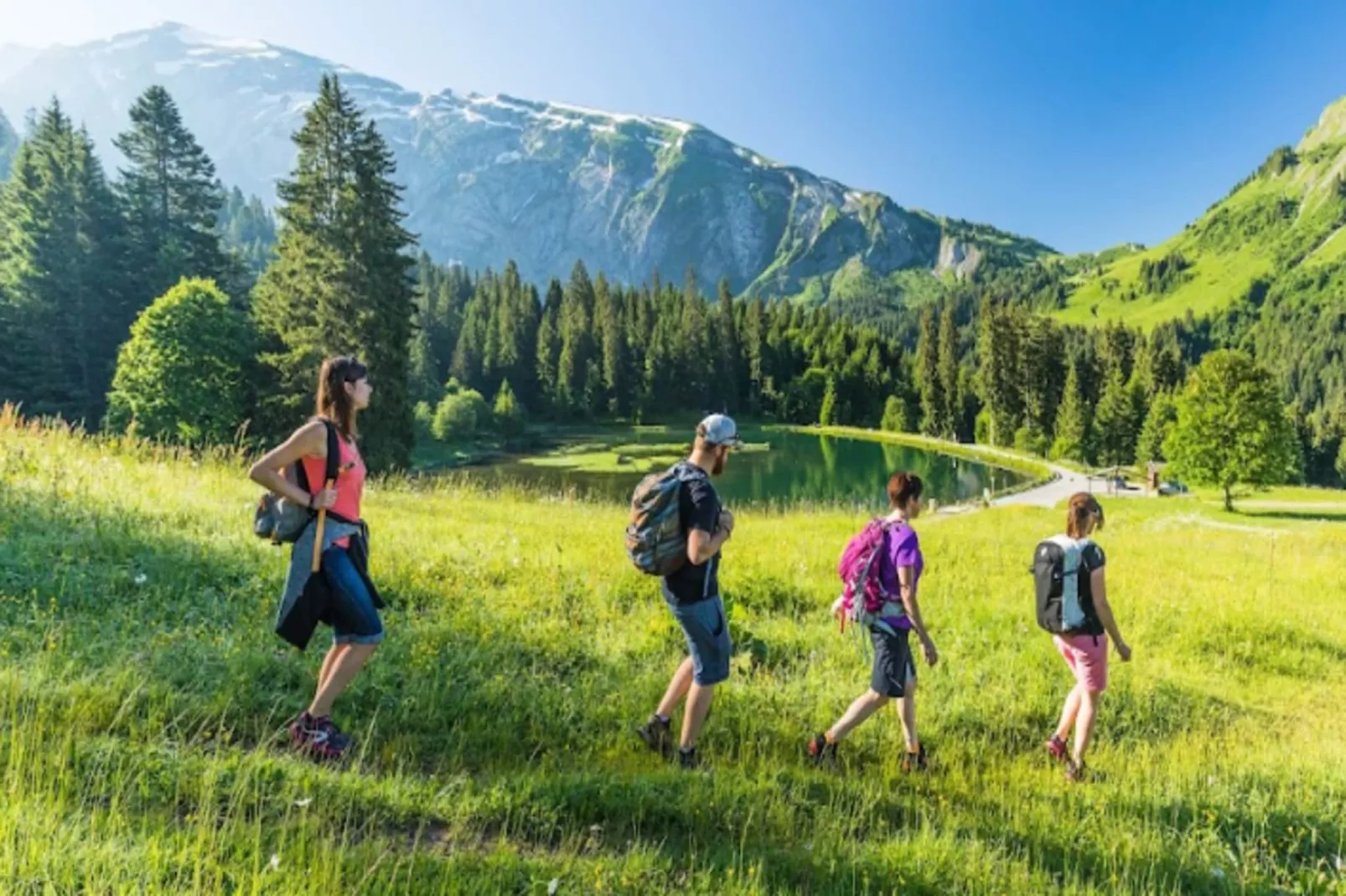 Résidence L'edelweiss