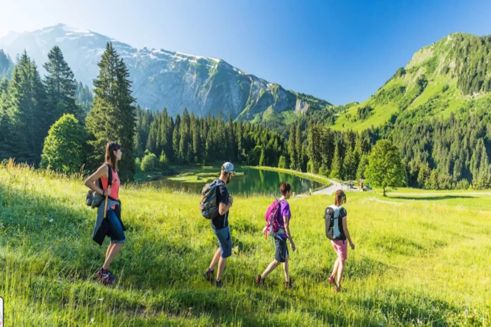 Résidence Stallion B