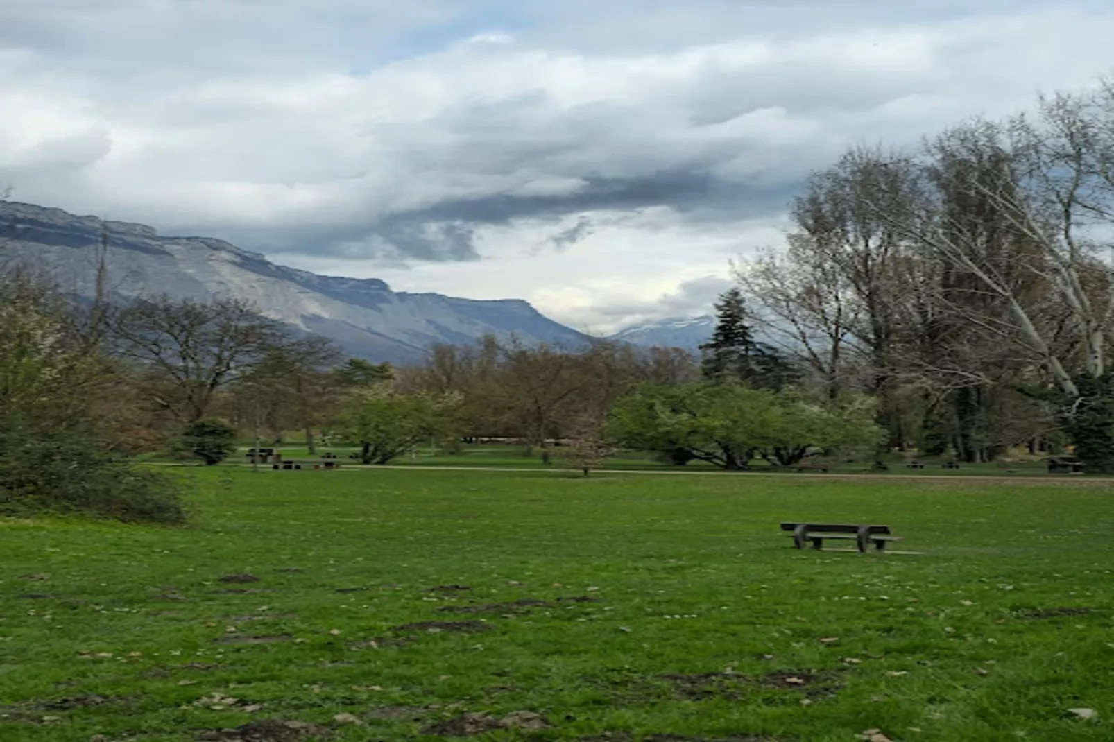| Vue Sur La Bastille 🚠 Alsace Lorraine| Terrasse-Tuinen zomer