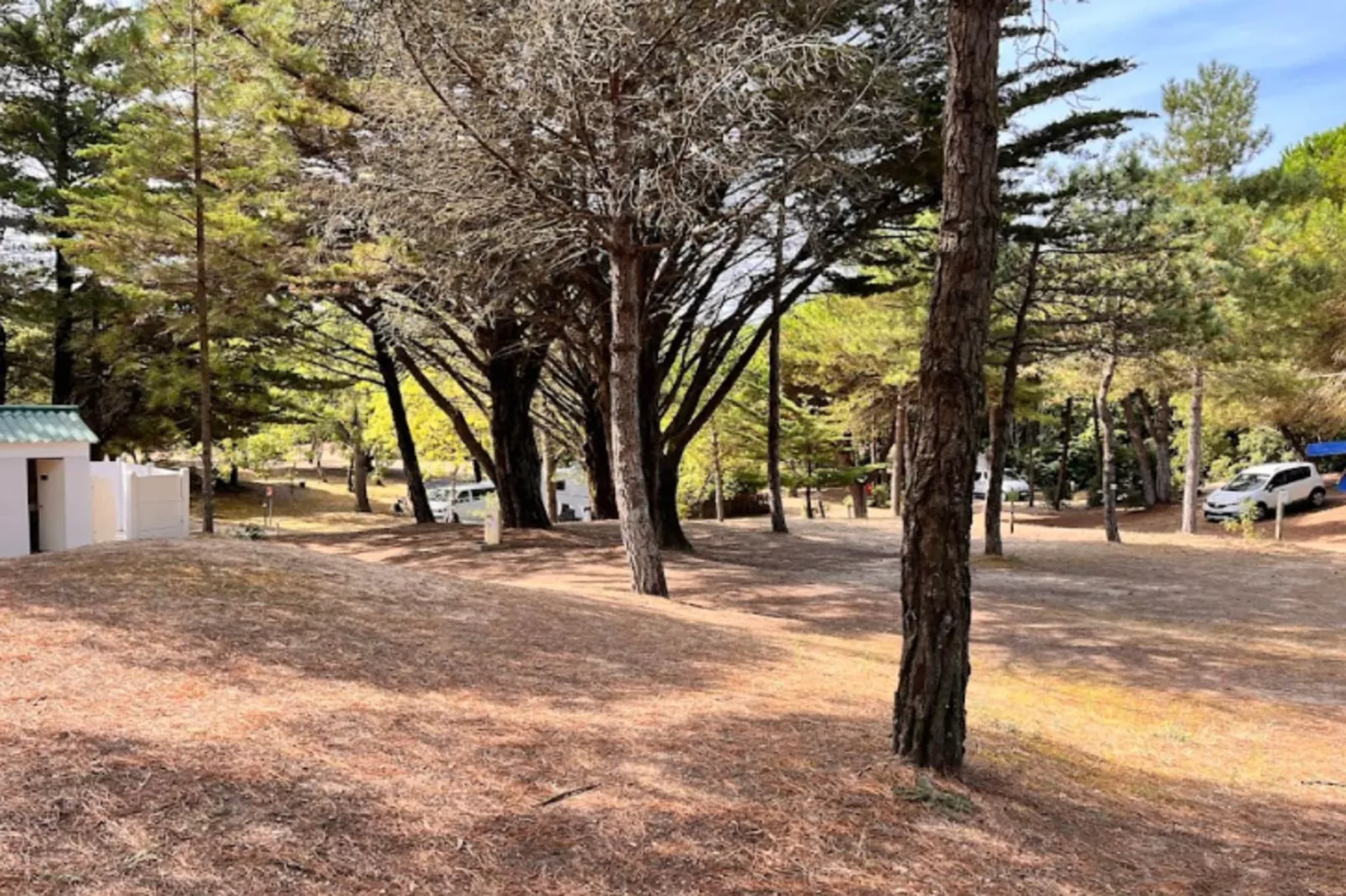 Villa Afrique Du Sud - Domaine Le Sherwood-Buitenkant zomer