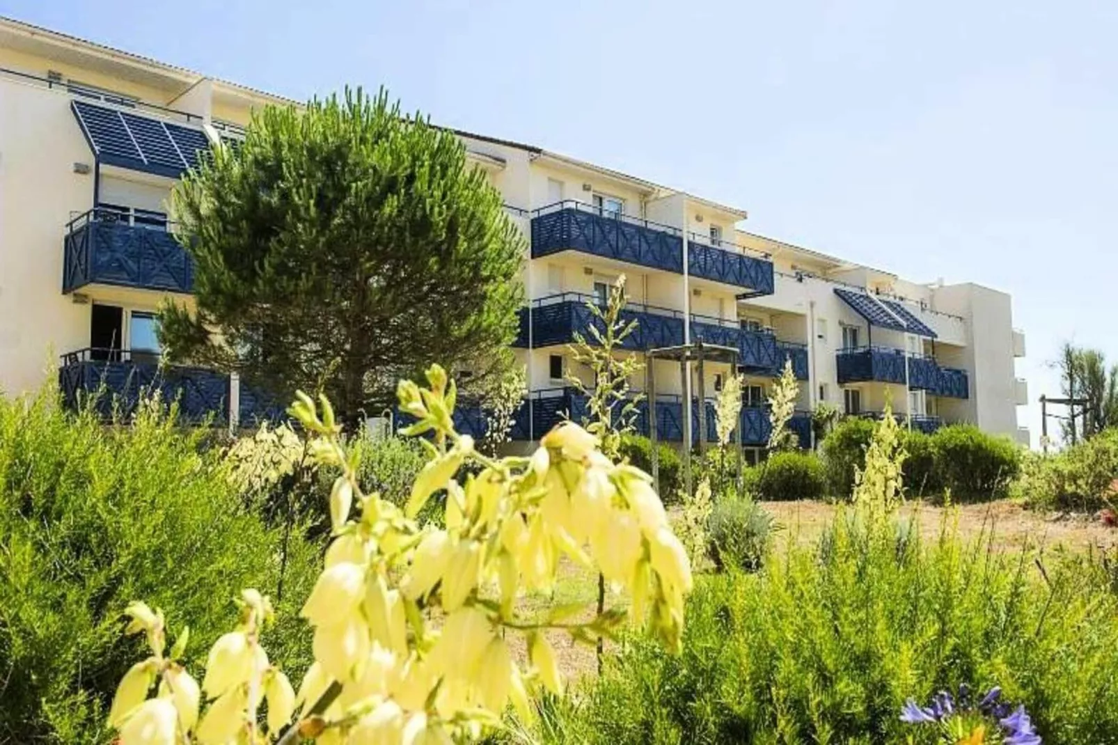 Résidence Bleu Marine - maeva Home-Buitenkant zomer