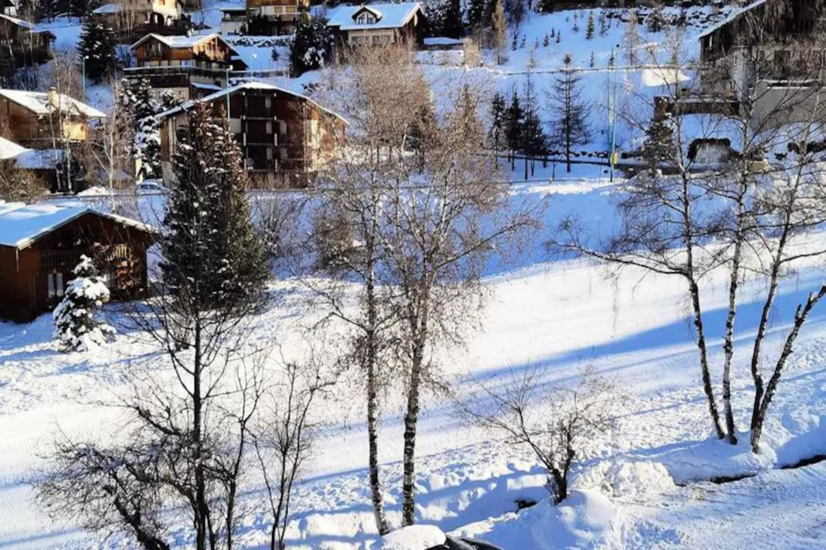 Chalet D'or D-Image-tags.