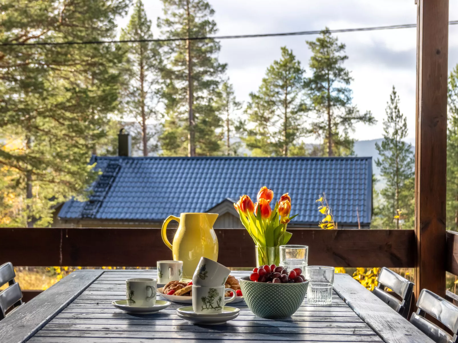 Fjällnästet-Buiten