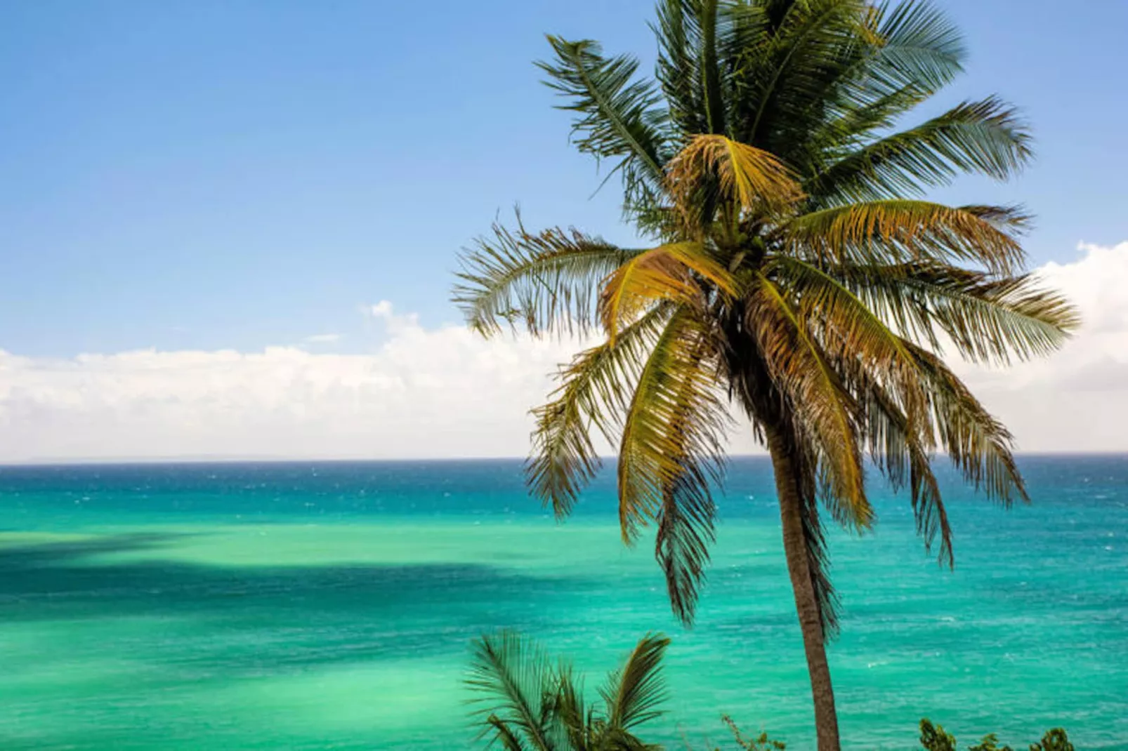 Villa Summer Forever-Image-tags.