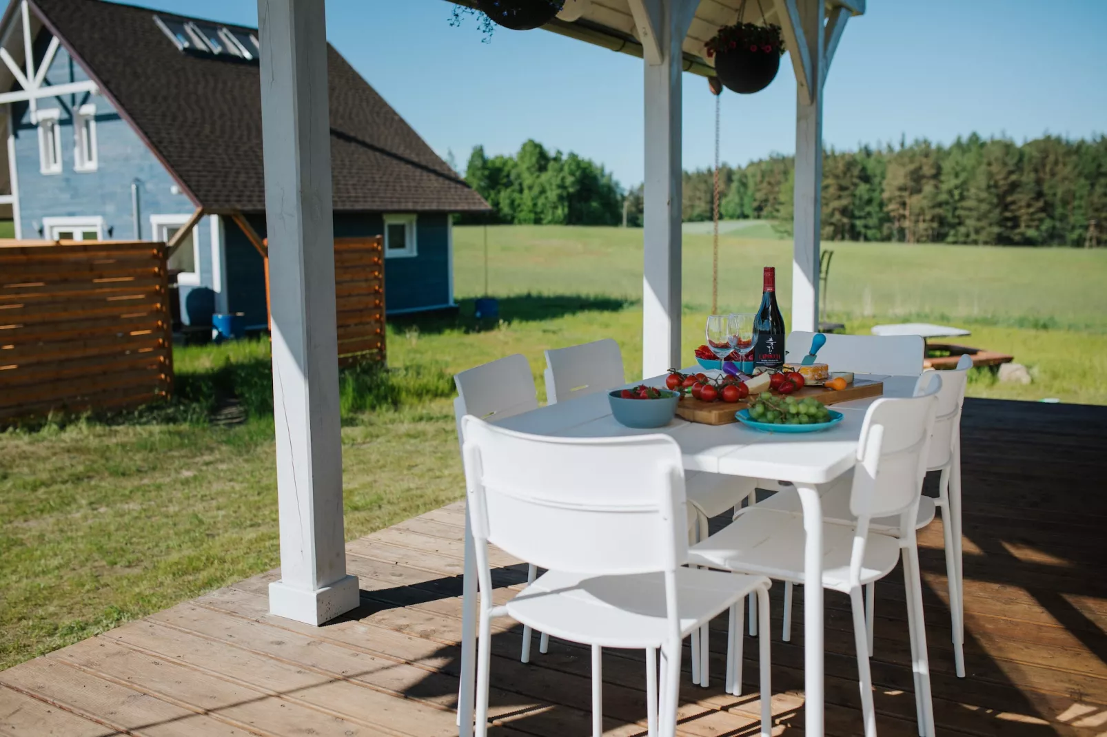 Grey heron-Terrasbalkon