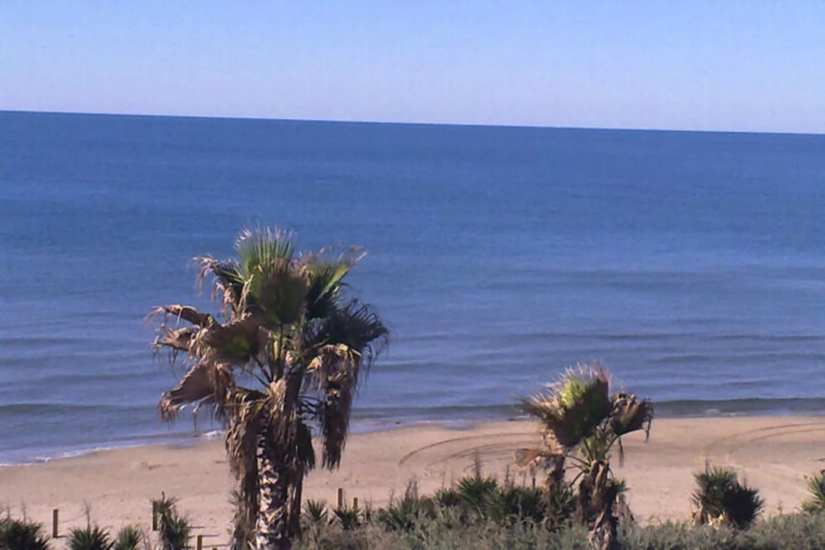 Résidence NATURISTE LA PALMERAIE-Gebieden zomer 1km