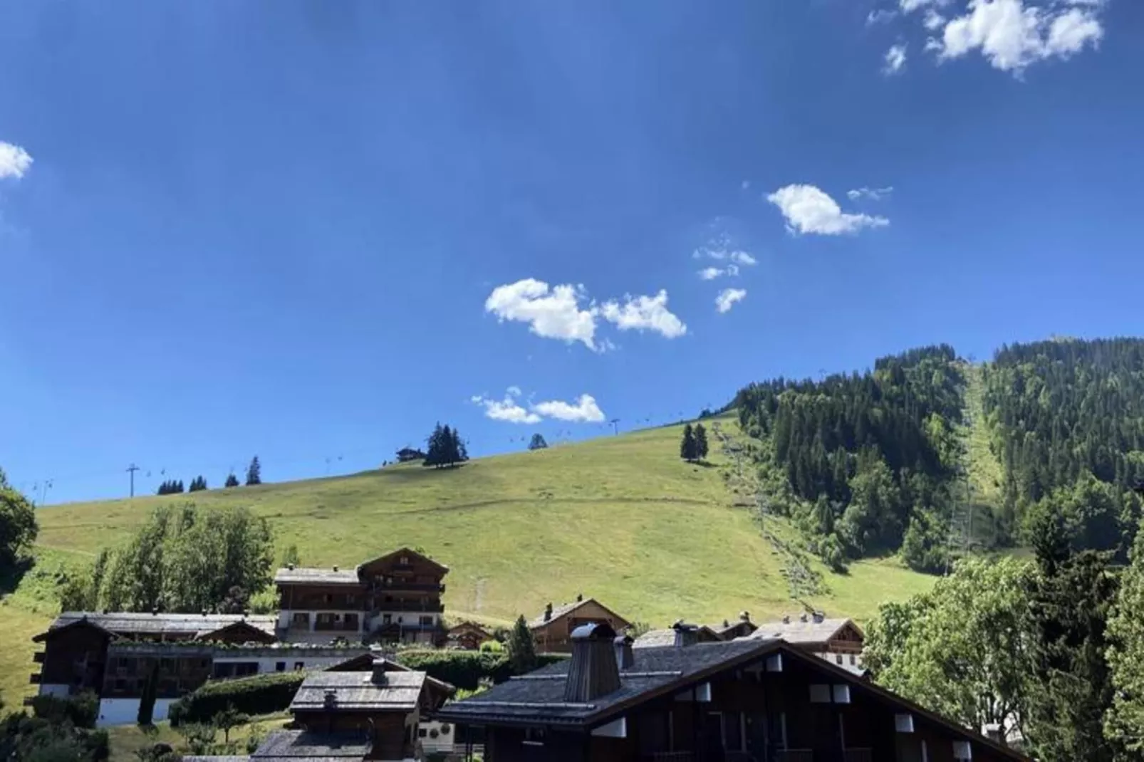 Résidence Granges B-Uitzicht zomer
