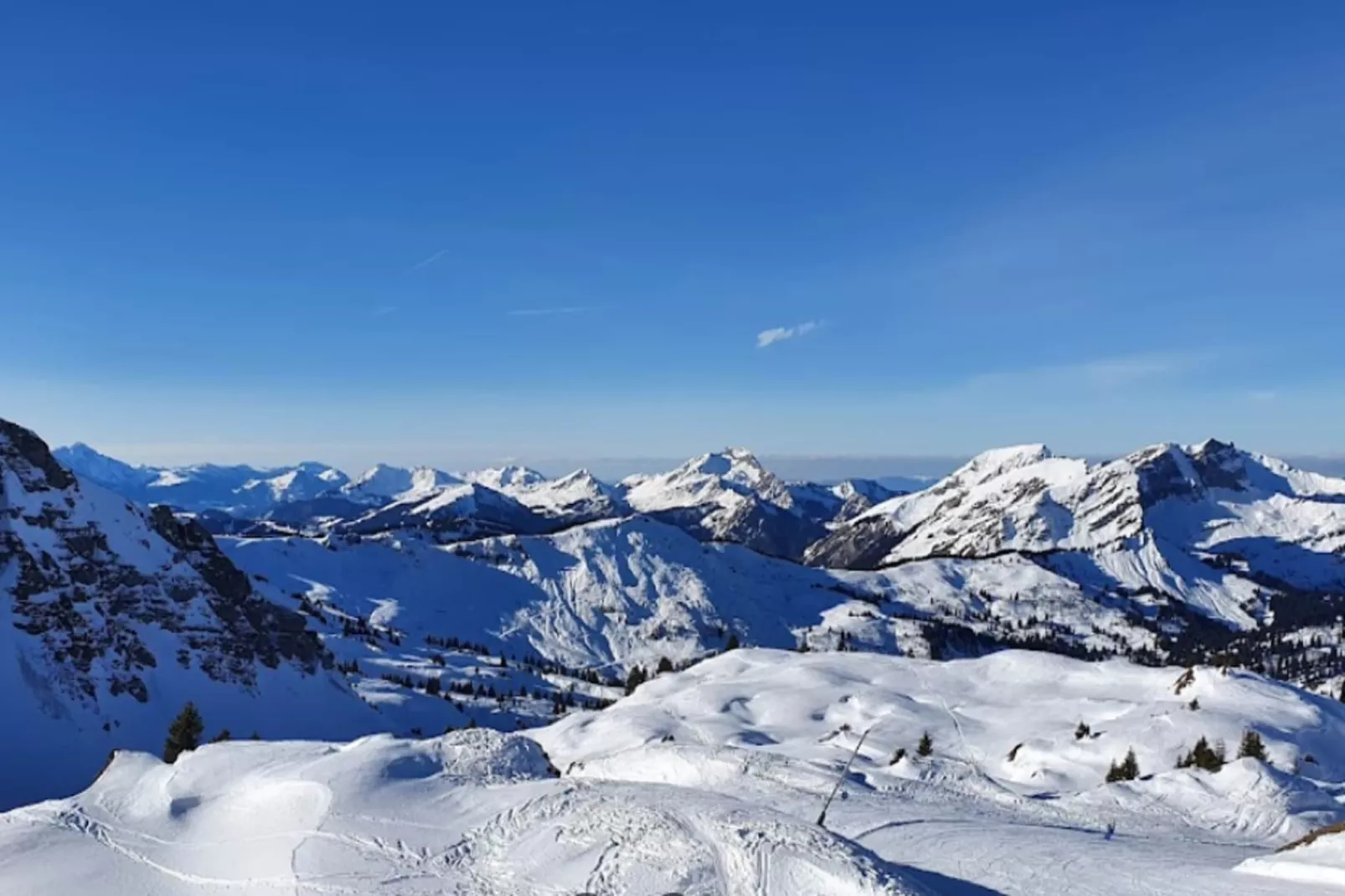 Résidence Les Campanules-Gebied winter 5km