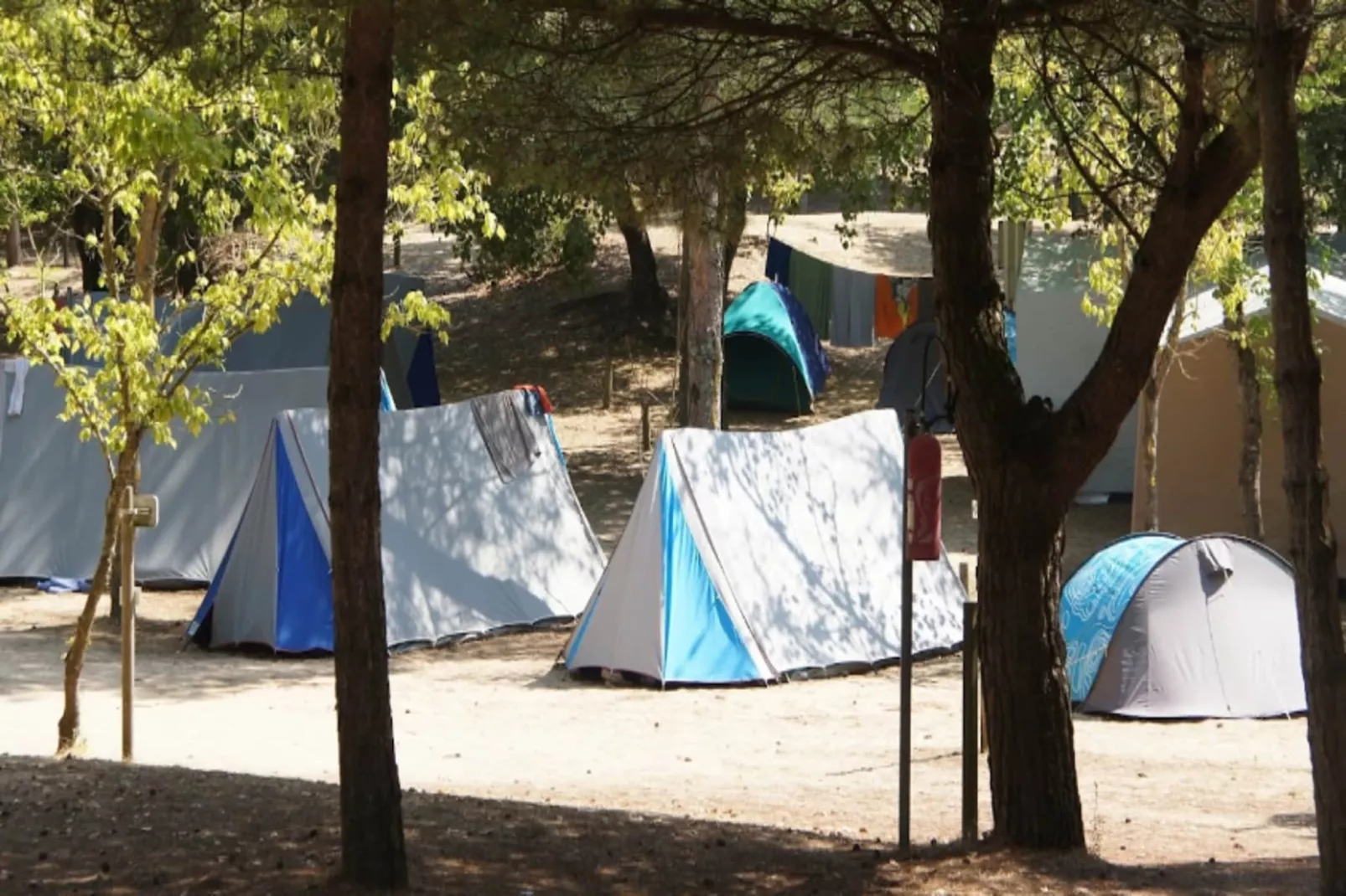 Villa Afrique Du Sud - Domaine Le Sherwood-Buitenkant zomer